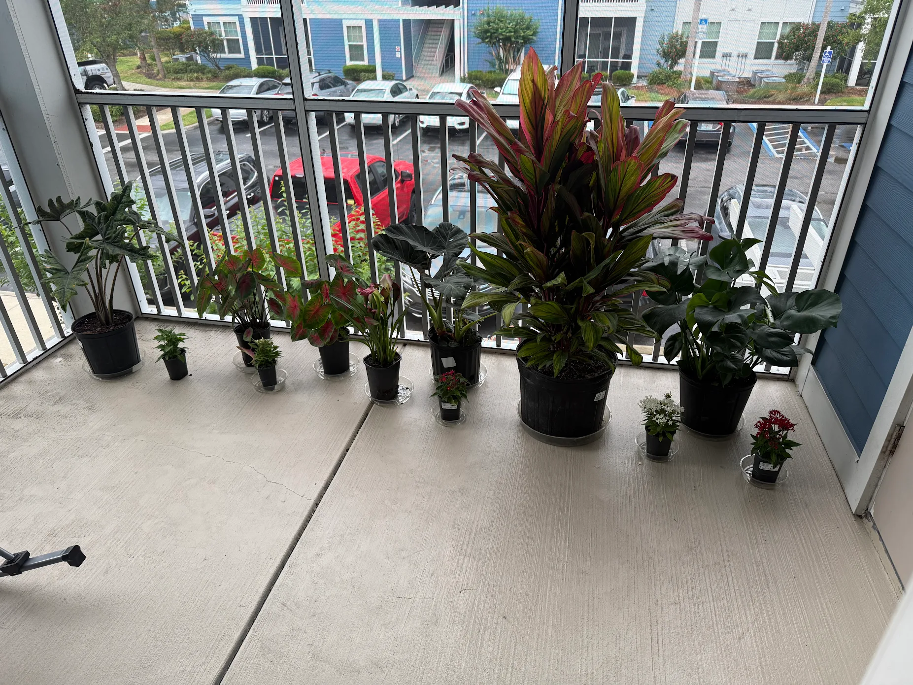 local plant nursery Manatee County