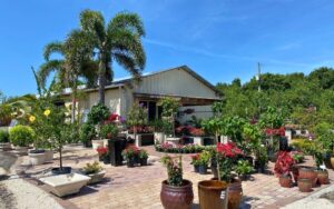 high-quality plants for new landscaping