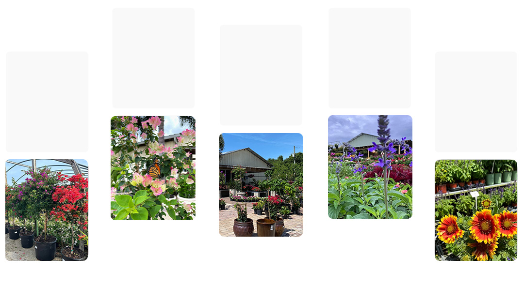 local plant nursery Manatee County