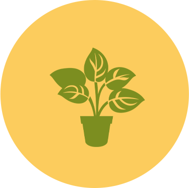 premium landscaping plants near me