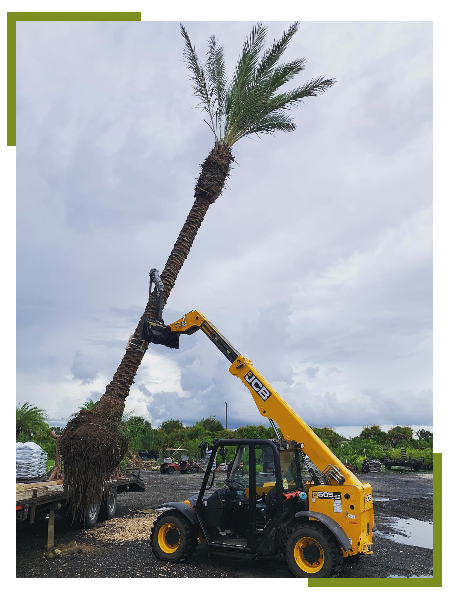 luxury landscape plants for waterfront properties