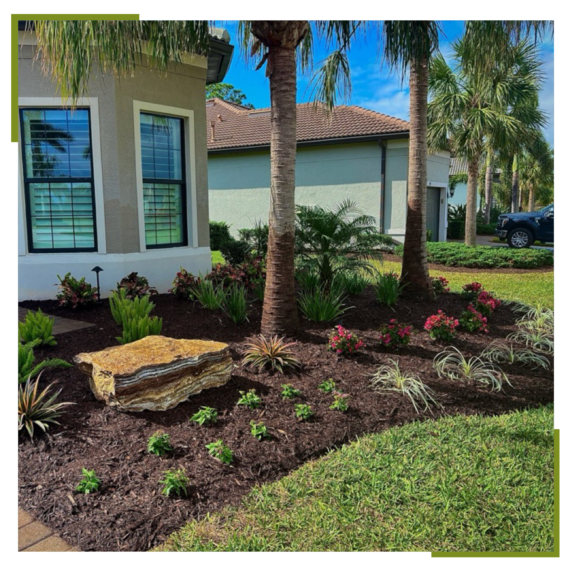 high-quality plants for new landscaping
