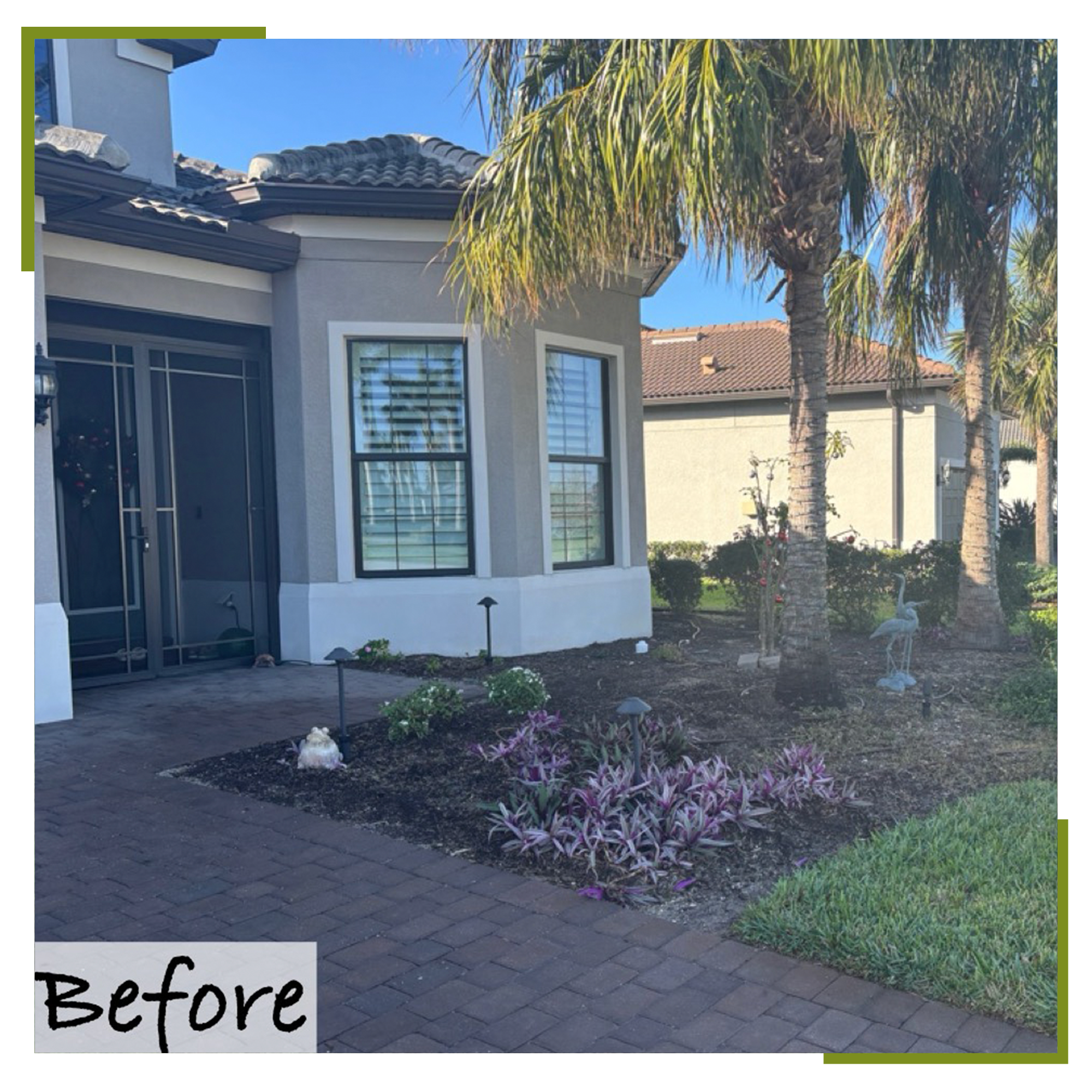 high-quality plants for new landscaping