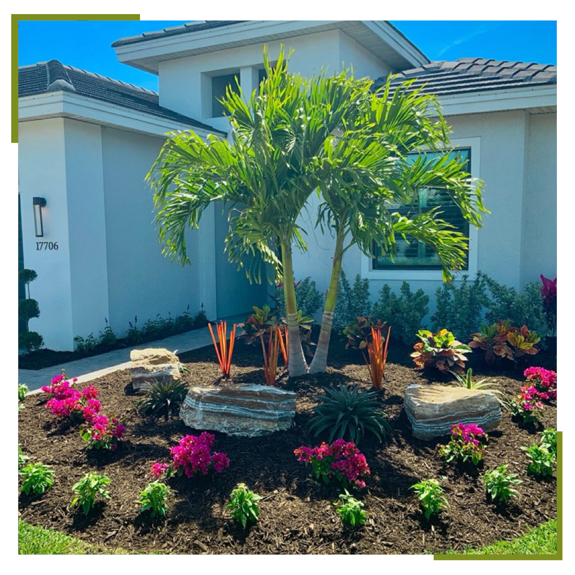 high-quality plants for new landscaping