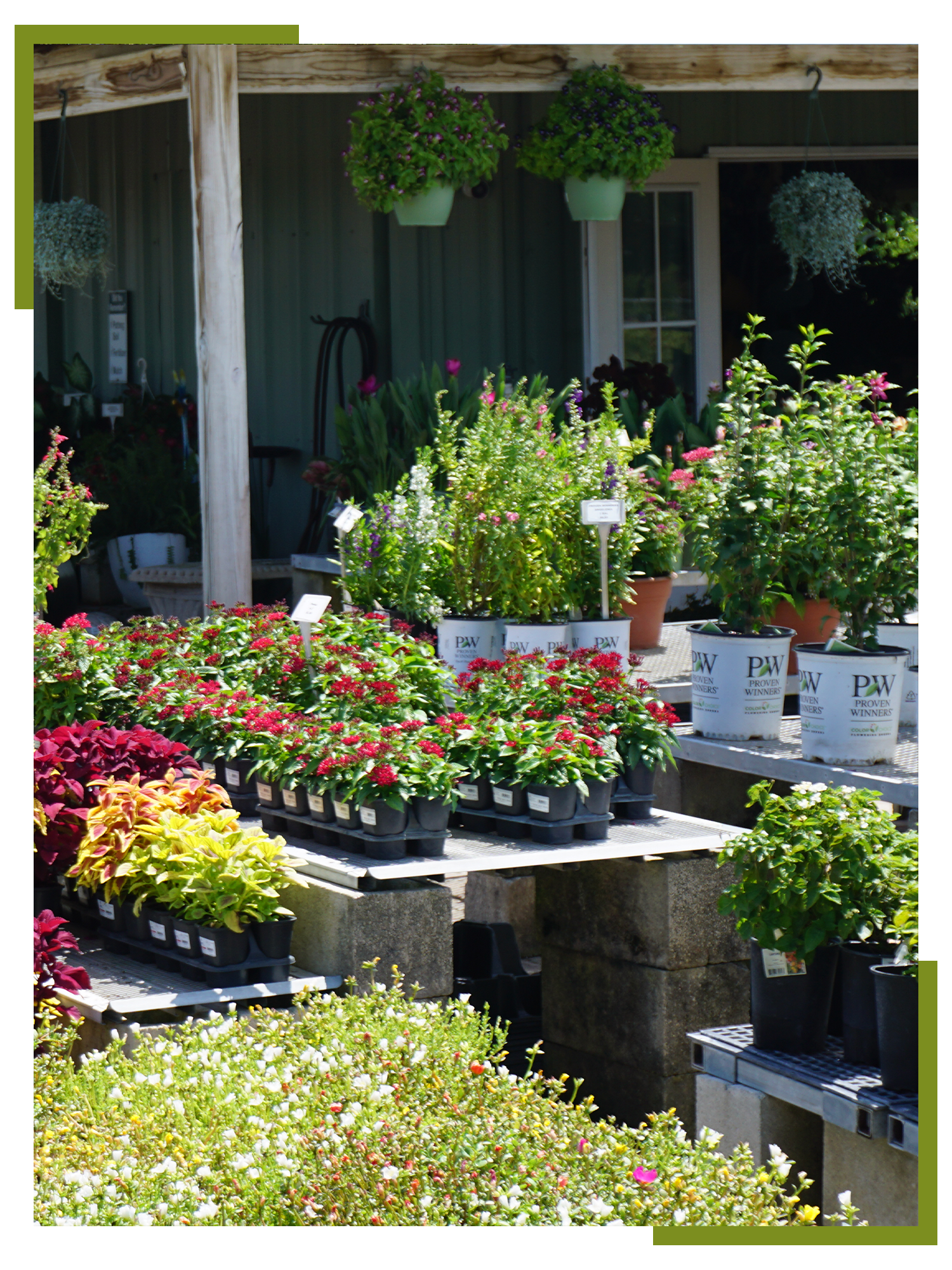 East Bradenton Plant Nursery