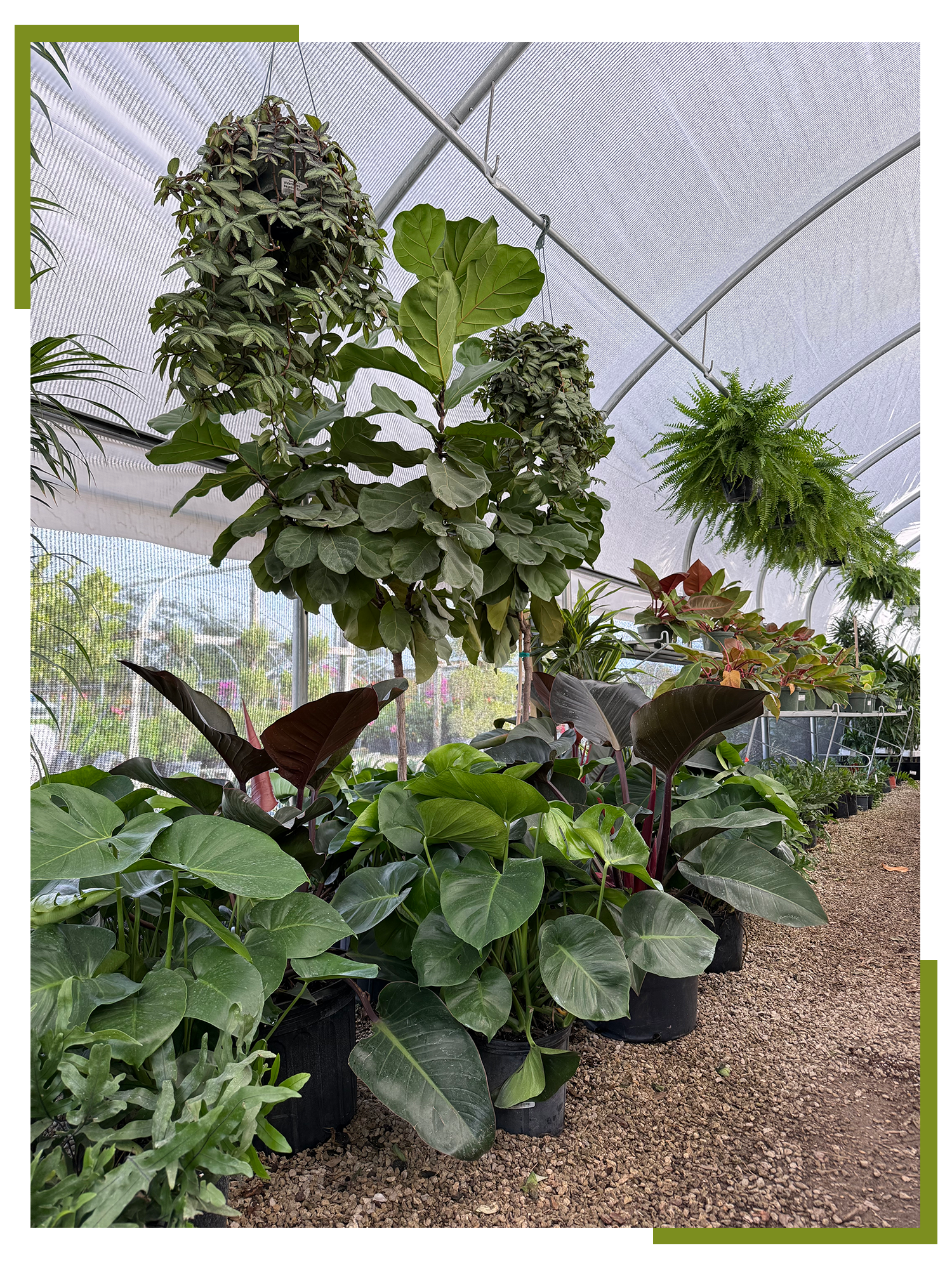 East Bradenton Plant Nursery
