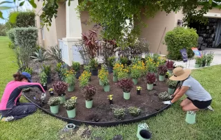 landscape installation services Sarasota"