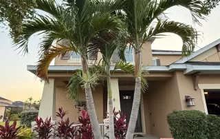 landscape installation services Sarasota"