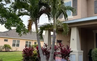 landscape installation services Sarasota"