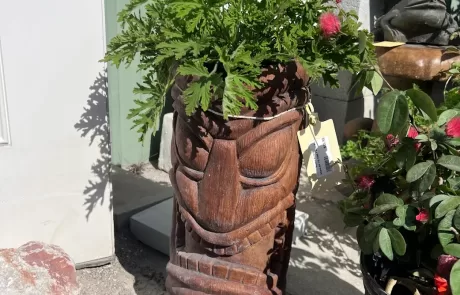premium garden center with delivery Sarasota