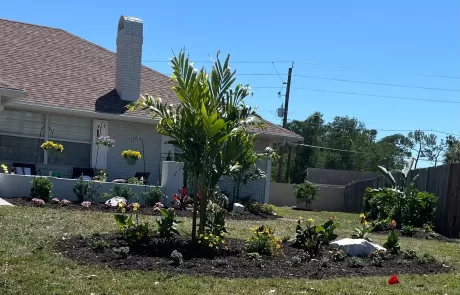 coastal foundation plants for Florida homes