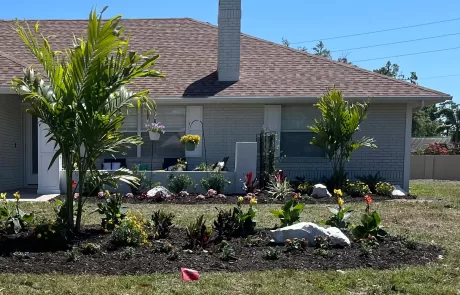 coastal foundation plants for Florida homes