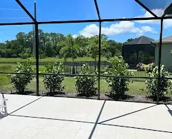 bougainvillea trellis for sale Bradenton