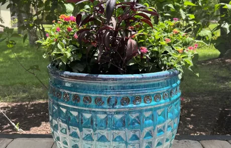 local plant nursery Manatee County