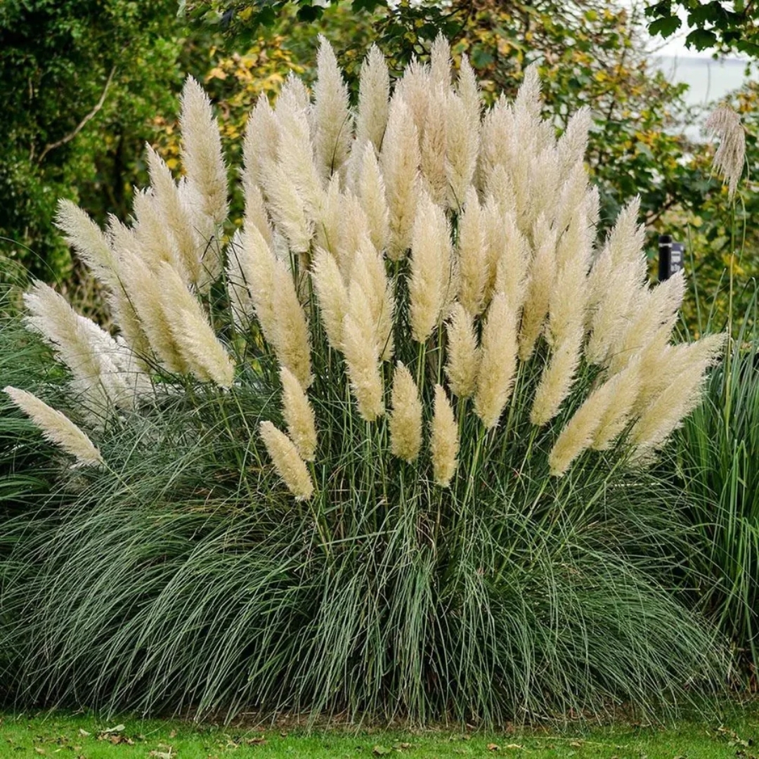 local nursery with design assistance