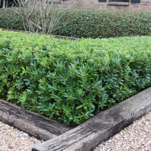 garden center delivery services Sarasota