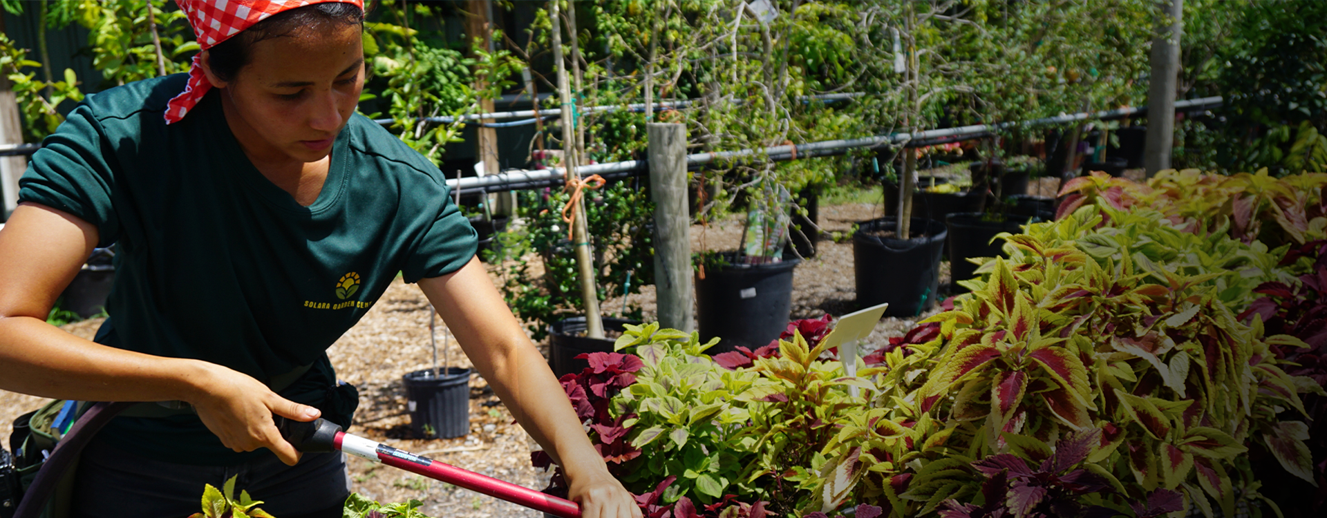East Bradenton Plant Nursery