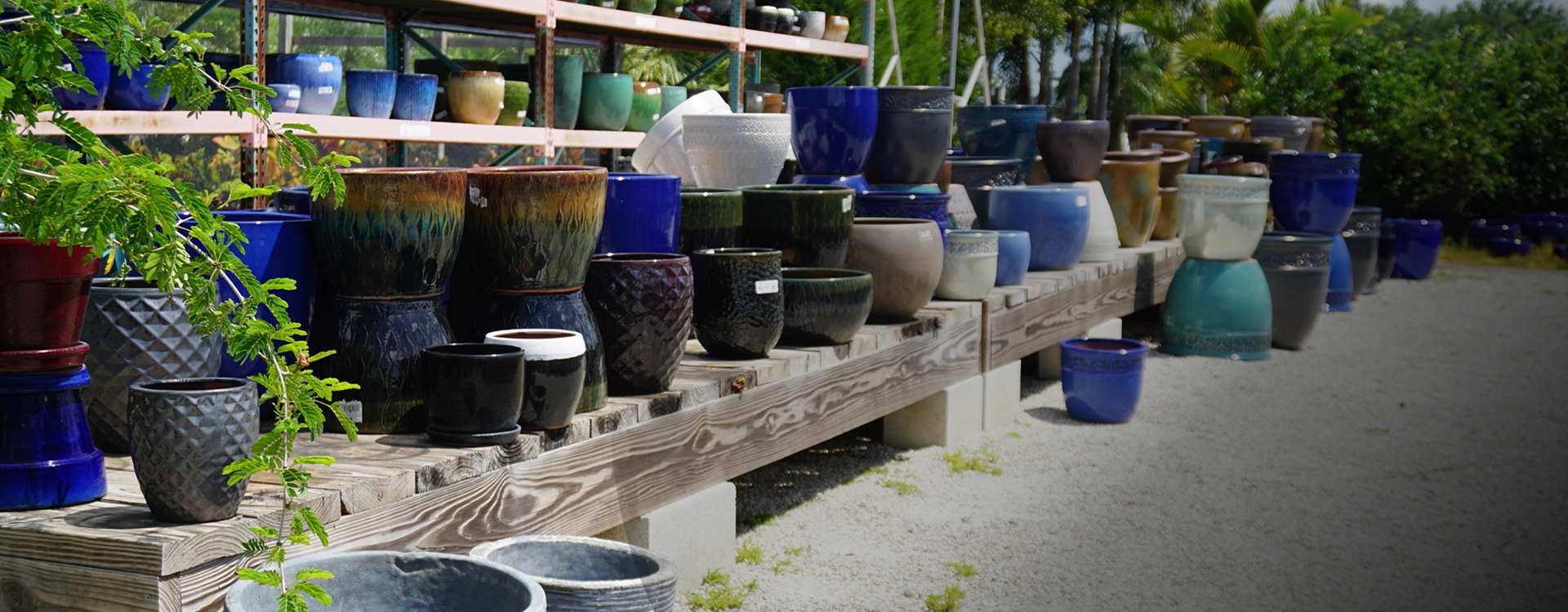 East Bradenton Plant Nursery